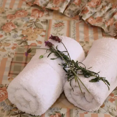 Dimitra וילה